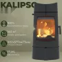 Чугунная печь Ravan Kalipso
